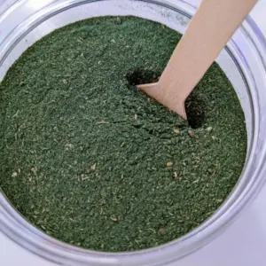 Organic Nutritional Supplement, Spirulina Greens, Plant Powder, Superfood Supplement, Nutrition, Health & Wellness, Cruelty-Free! (2 oz)